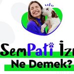 emlakjette-evcil-hayvan-sahibi-calisanlara-sempati-izni-hakki.jpg