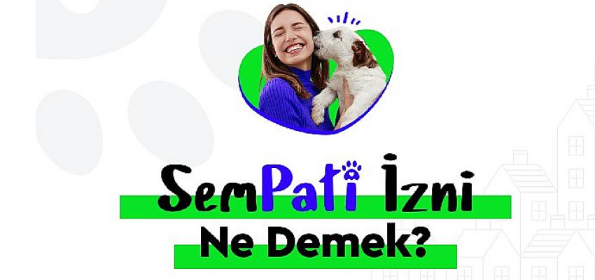 emlakjette-evcil-hayvan-sahibi-calisanlara-sempati-izni-hakki.jpg