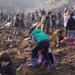 marmariste-madok-kizilbuk-gyo-is-birligiyle-agac-ekim-senligi-gerceklestirildi.jpg