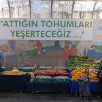 bugday-dernegi-kayseride-saglikli-gidanin-adresi-kocasinan-%100-ekolojik-pazar.jpg