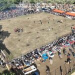 25-geleneksel-pelitkoy-deve-guresleri-nefes-kesti.jpg