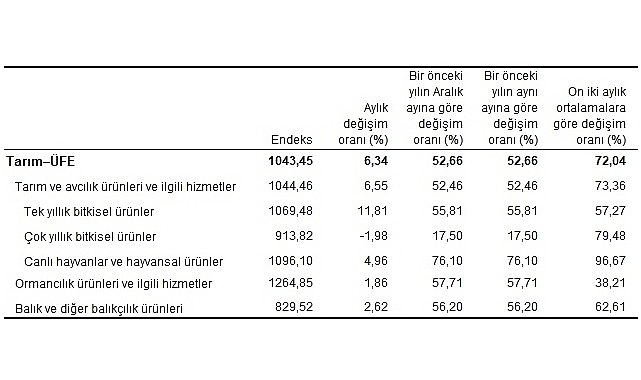 tarim-urunleri-uretici-fiyat-endeksi-tarim-ufe-yillik-yuzde-5266-aylik-yuzde-634-artti.jpg