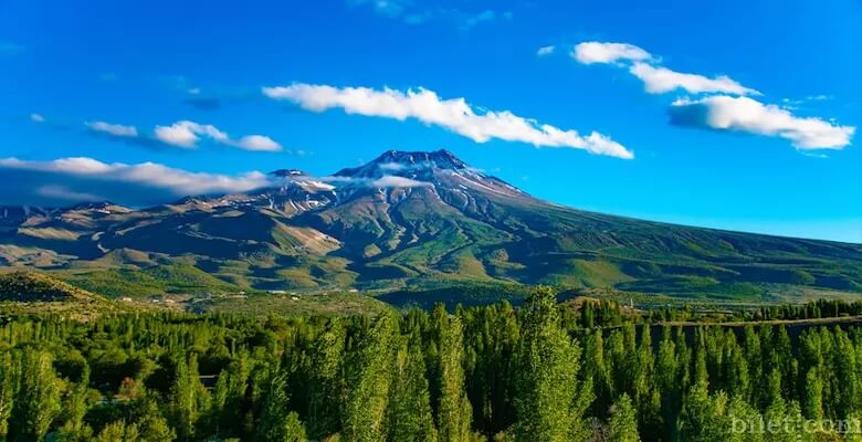 Seyahat etmeyi seviyor