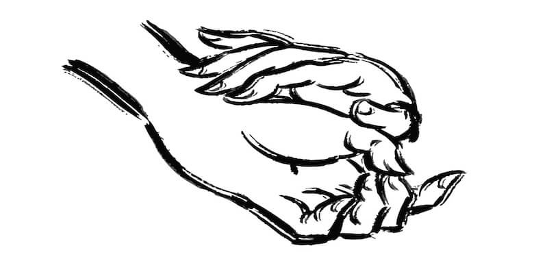 Karpal Tünel Sendromu: Belirtileri, Nedenleri ve Tedavi Yöntemleri