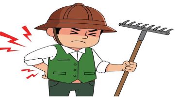 Ağır Yük Kaldırmak Omurgada Fıtık Oluşumuna Sebep Olur mu?